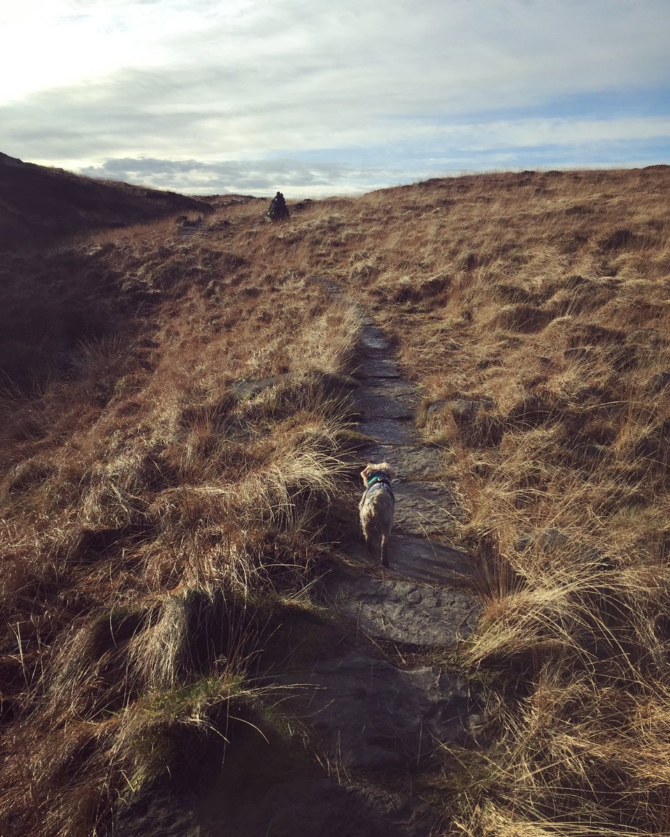 A winter walk on the tops in your 🎧 any time. This wk’s @bbcradio3 Unclassified: @_BAS_JAN_ with a banger, fabulous @boystrangeboy, @annahmeredith & @ScotEnsemble ahead of @KingsPlace show, @JFFdublin + a stunning rework of Salford’s most famous song 🚨sun o))) & @lucyrailton 🚨