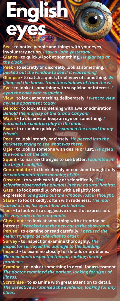BrendanDMRyan's tweet photo. Everything you can do with your eyes in English 👇 https://t.co/hpdlVZBgAG