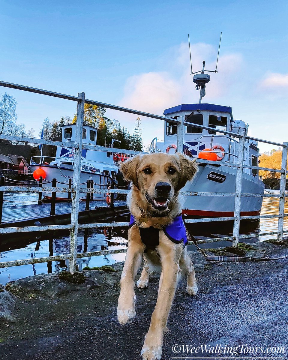 This week our resident #GoldenRetriever pup, Walter, took over our #Scotland travel blog to share the story of his first boat trip- a cruise on the 'Lady of the Lake' (named after his namesake's, #SirWalterScott's, poem)-

weewalkingtours.com/post/lady-of-t…

#LochKatrine #Trossachs
