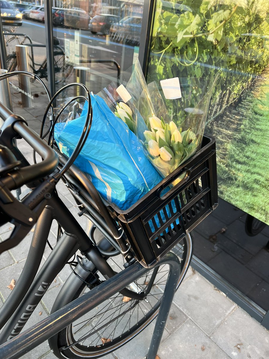 Dutchcat17's tweet image. Scandalous, I was left alone again (something about the supermarket), human came back chuckling to herself…tulips in her bicycle basket, very Dutch! 🇳🇱🐾