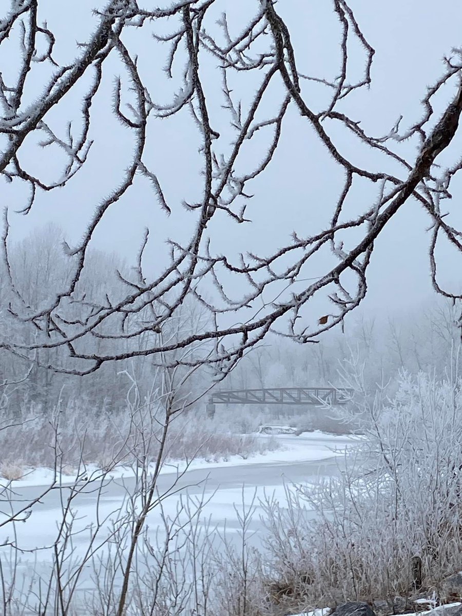 lifesucksoff's tweet photo. Darlinggggsss  I AM SARDIII☃️🥶❄️
-30
#wintervolliefde 
#CalgarySnow https://t.co/WGFYiTMUHH