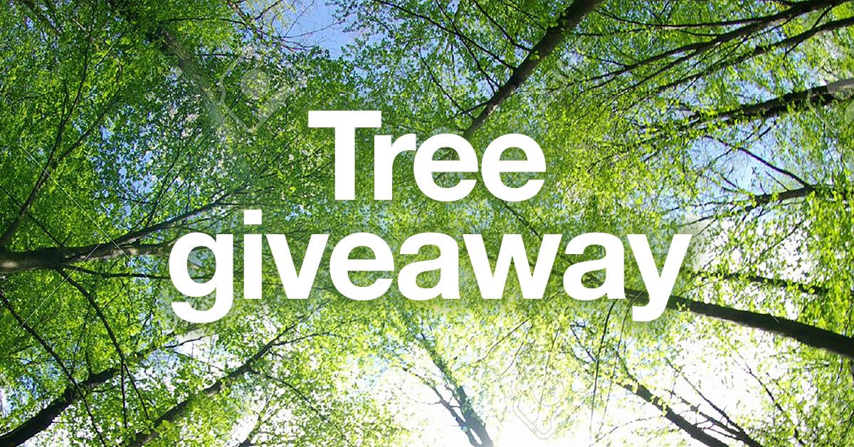 🌳 Reserve a free tree online to collect at our next tree giveaway event, taking place on 17 February 2024 by visiting chorley.gov.uk/treegiveaway  – the sign up window closes on Friday 12 January.