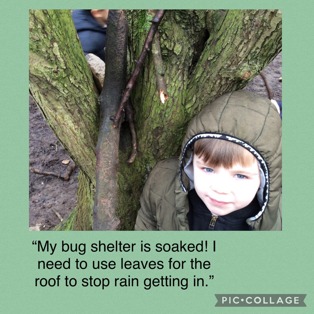BandBschool's tweet photo. @BandBschool in forest schools #teamaire had the challenge of making a waterproof and wind proof shelter using natural materials. @eboractrust #bandbscience  #bandbforestschool @teach_outdoors @DrBiol https://t.co/zZYwCXGBgl