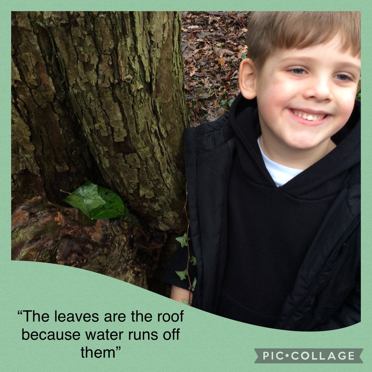 BandBschool's tweet photo. @BandBschool in forest schools #teamaire had the challenge of making a waterproof and wind proof shelter using natural materials. @eboractrust #bandbscience  #bandbforestschool @teach_outdoors @DrBiol https://t.co/zZYwCXGBgl