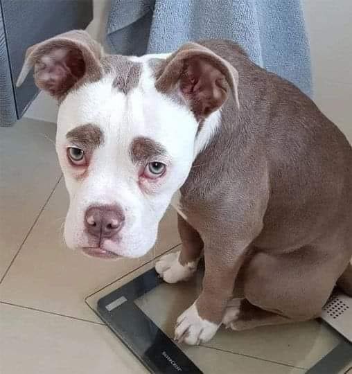 Today is my first Birthday But no one congratulated me yet .🥹 🥹