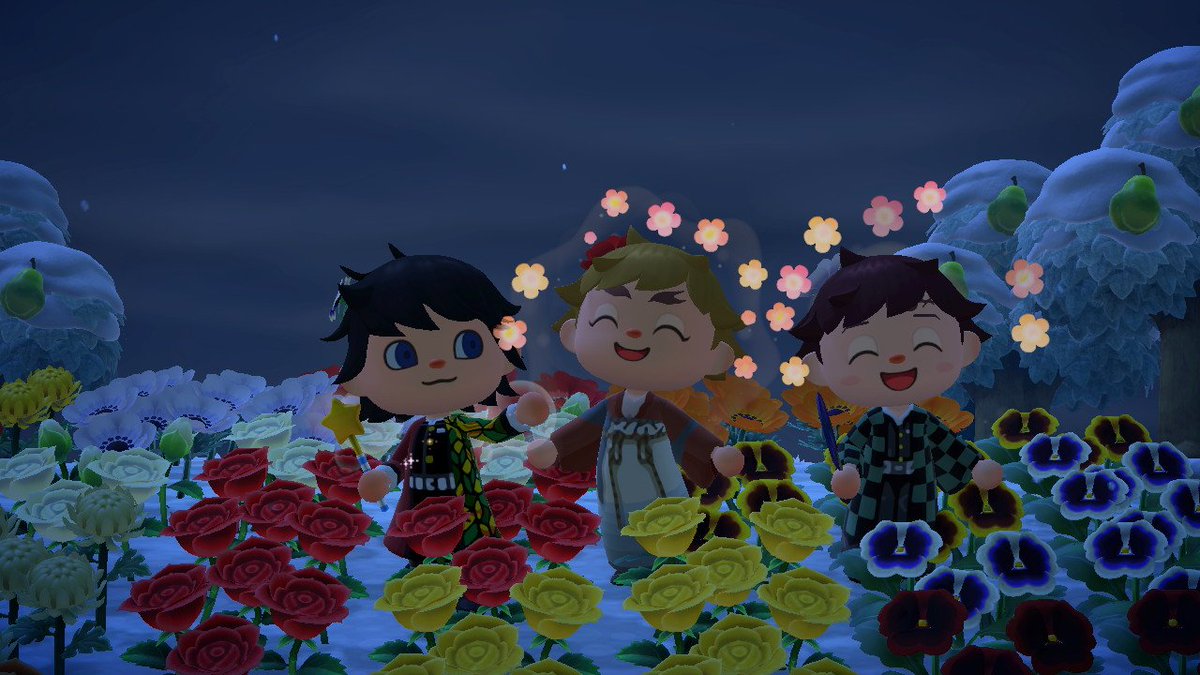 和友友快乐动森😚