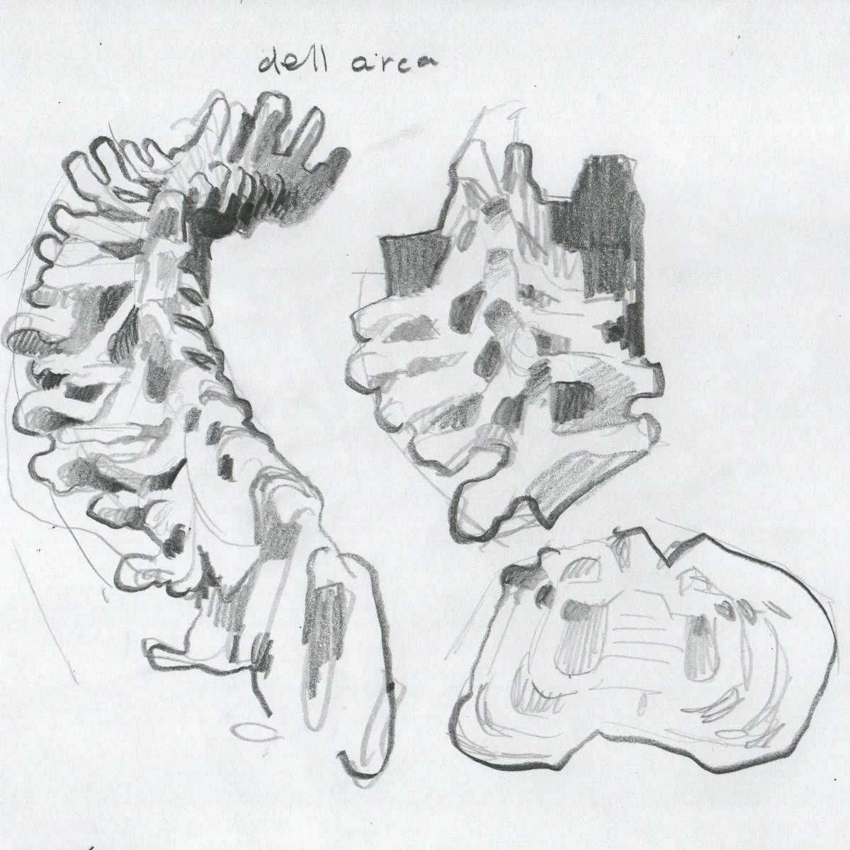 Horrified to realize that I don't. Think ive posted here since i started art school?????????? Thats so long. Sorry abt being so sparadic. Heres some bone doodles. #anatomy #bones #sketchbook