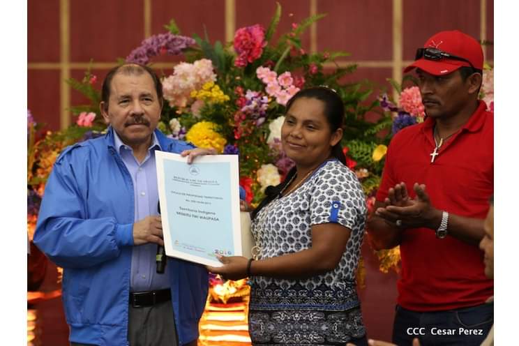 Gracias al Gobierno del Pueblo Presidente la costa Caribe cuanto con su título de demarcación territorial restituyendole los derechos a los pueblos indígenas y afrodescendiente  en 25 territorios en Caribe sur, norte alto wangki y Bocay
#MásVictoriaMásBienestar #PLOMO19