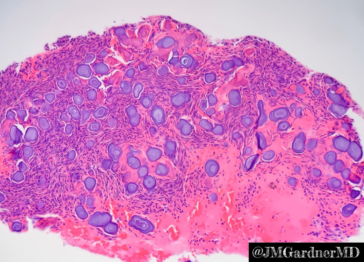 Jerad Gardner, MD tweet media