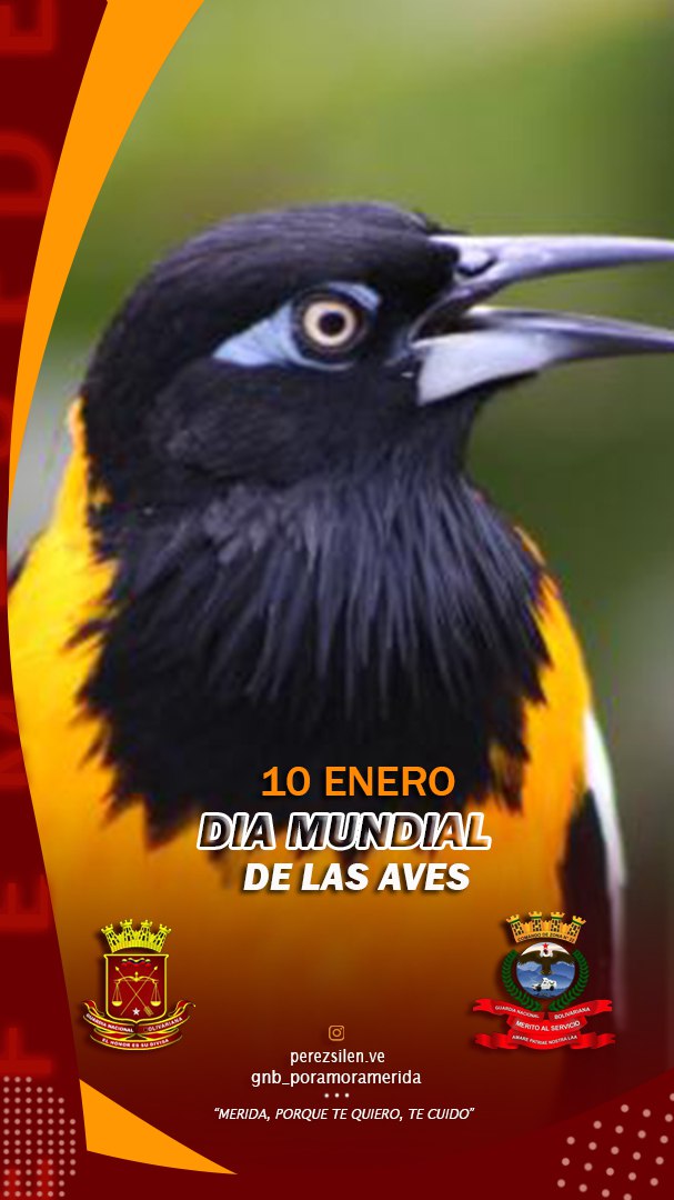 MeridaSeguraGNB's tweet photo. #10Ene se celebra el Día Mundial de las Aves, celebración que tiene como objetivos generales:

Dar a conocer las amenazas a las que se enfrentan las aves y las medidas de conservación necesarias para su supervivencia. https://t.co/LbXsyEOKCh
