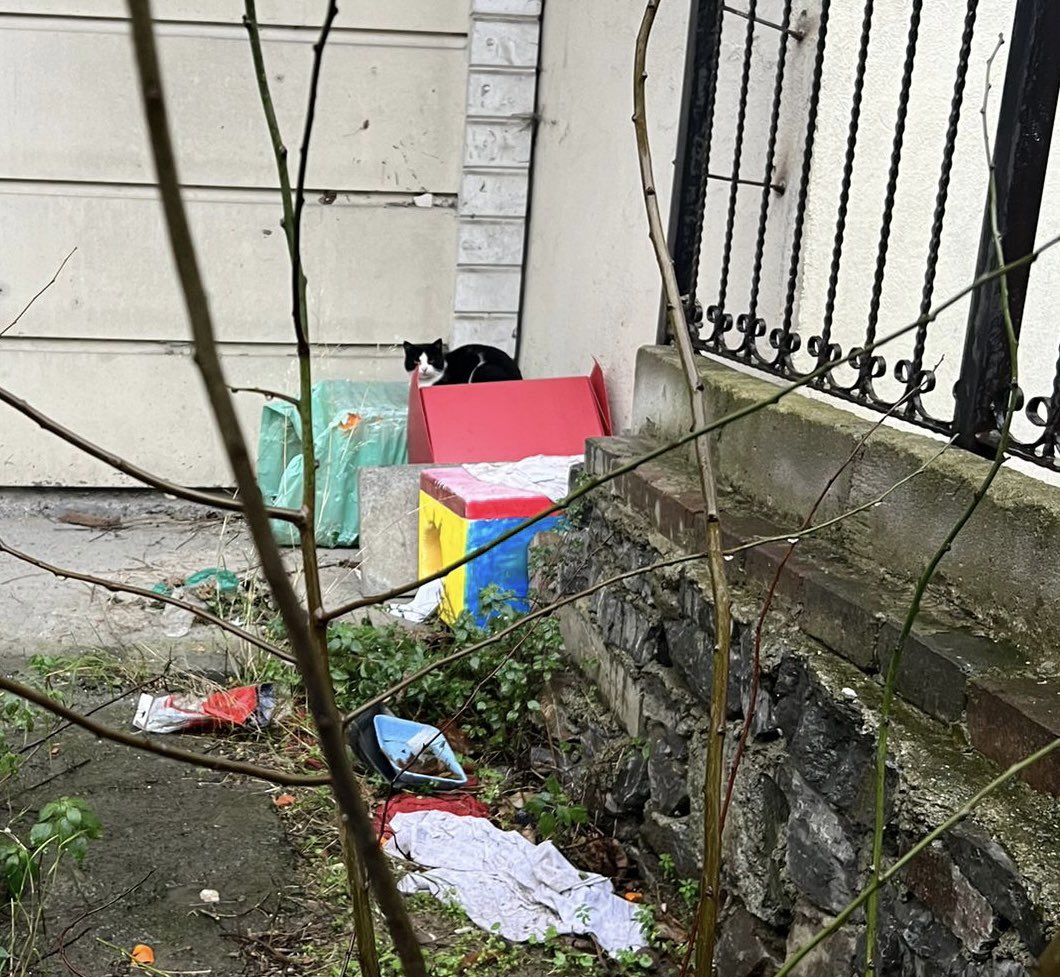 Yazıklar olsun. Sizden 4/5 adet kedi evi istedik dalga geçer gibi 1 tane gönderdiniz. Bu sokak hayvanları sorumluluğu hiç mi üzerinizde yok. mama desteğini hallediyoruz, adece kedi evi istedik,bu belediye bu kadar mı batık durumda? <a href="/KagithaneBelTR/">Kağıthane Belediyesi</a> <a href="/MevlutOztekin/">Mevlüt Öztekin</a> <a href="/4442300/">Kağıthane Belediyesi Çağrı Merkezi</a>