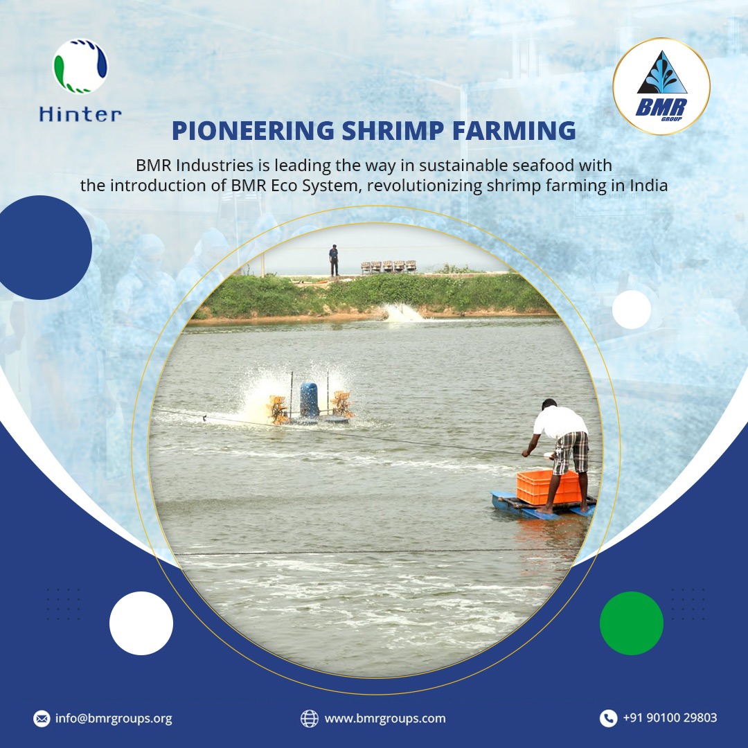 🌊 BMR Industries is leading the way in sustainable shrimp farming with the innovative BMR Eco System. Revolutionizing aquaculture practices in India! 🦐 

#ShrimpFarming #Sustainability #AquacultureInnovation #BMRIndustries #EcoSystem