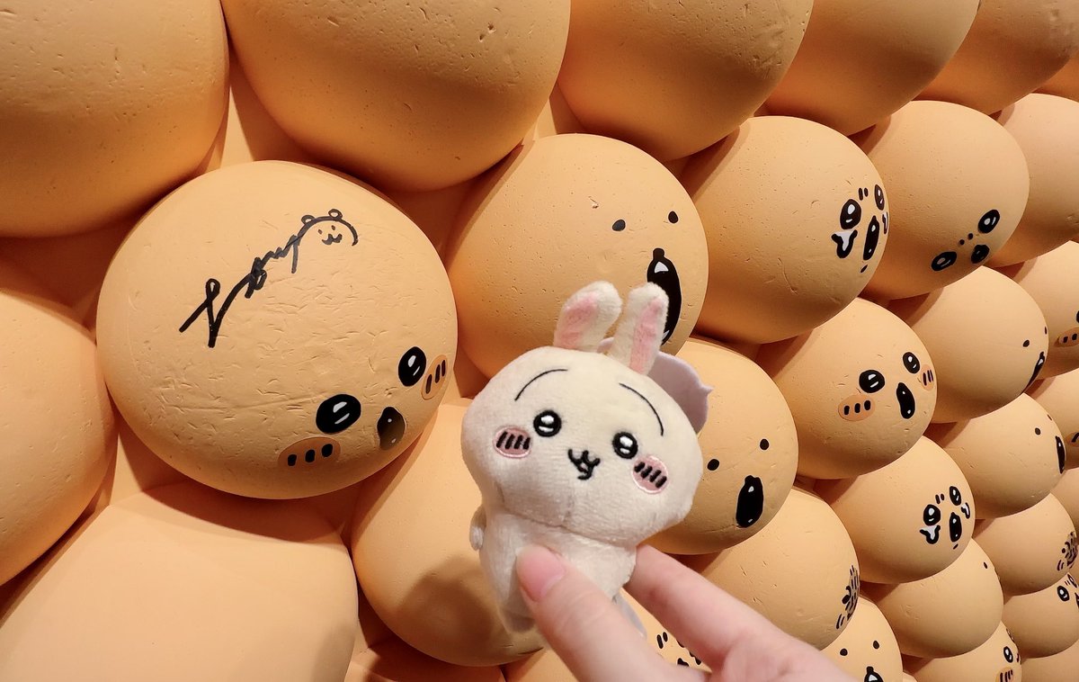 ナガノ展‼️🐰
2時間30分ボリュームたっぷり 