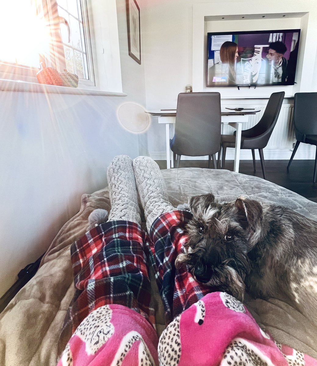 Osc_Schnauzer14's tweet photo. My little carer is always by my side ๐
#DogsAreFamily #Adogslove #Dogs #Dogsofx #Schnauzers #SchnauzerGang #MigraineHangover #Postdrome https://t.co/QShYVuKjSF