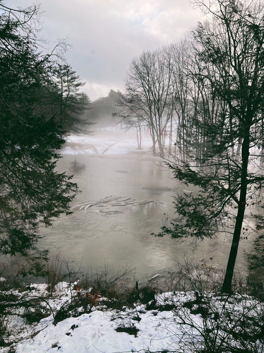 Forestbound's tweet photo. @growingwisdom a 24 hour difference here in Amesbury, MA! https://t.co/tw5IVopuU9