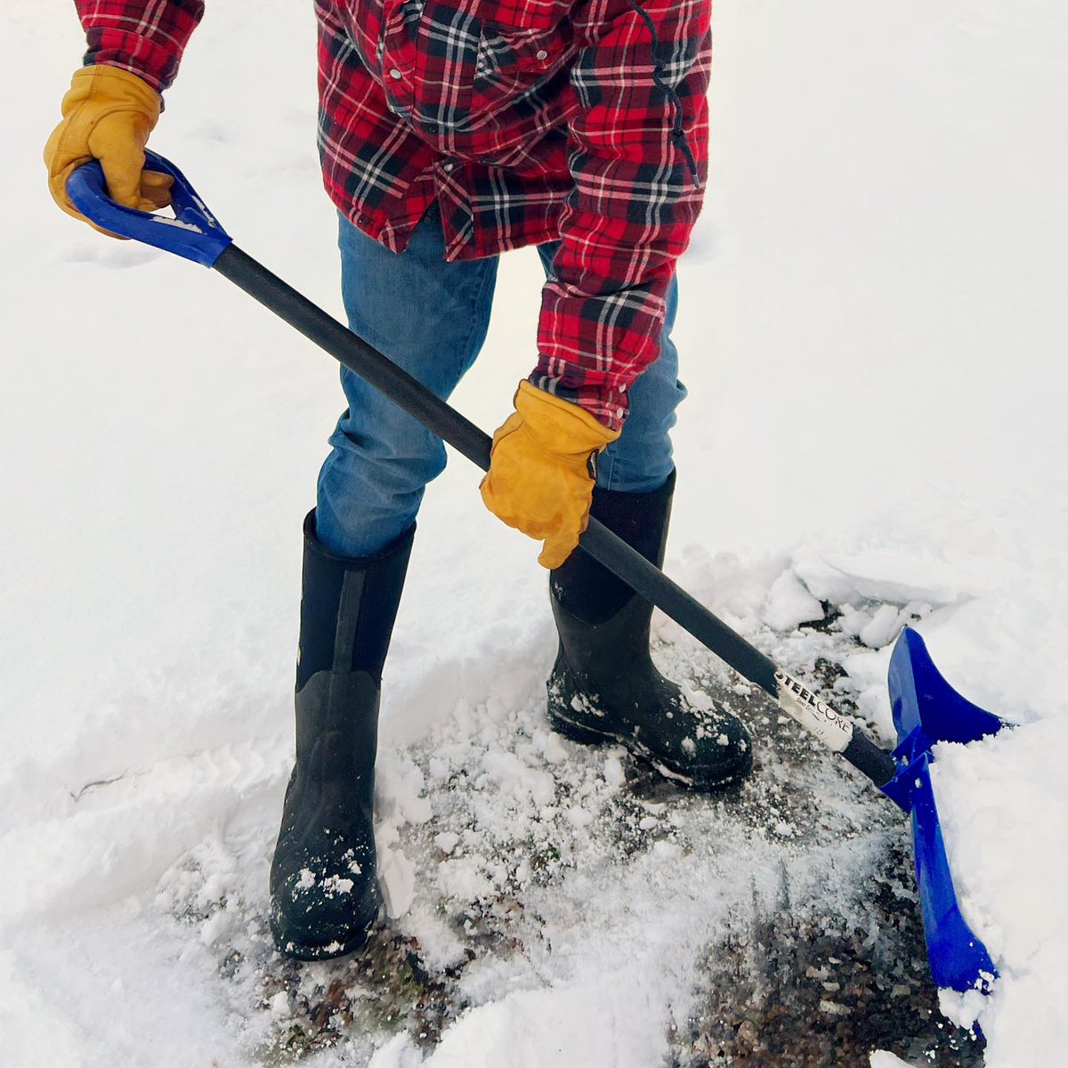 SvcMasterPEI's tweet photo. Tips to prepare your home for the storm:
Anchor down outdoor items, like trash cans.
Lock up windows and doors to withstand strong gusts.
Check that downspouts are attached and direct water away from your home.
Charge up your phone and have batteries on hand to stay connected. https://t.co/eWCRm9sFNS