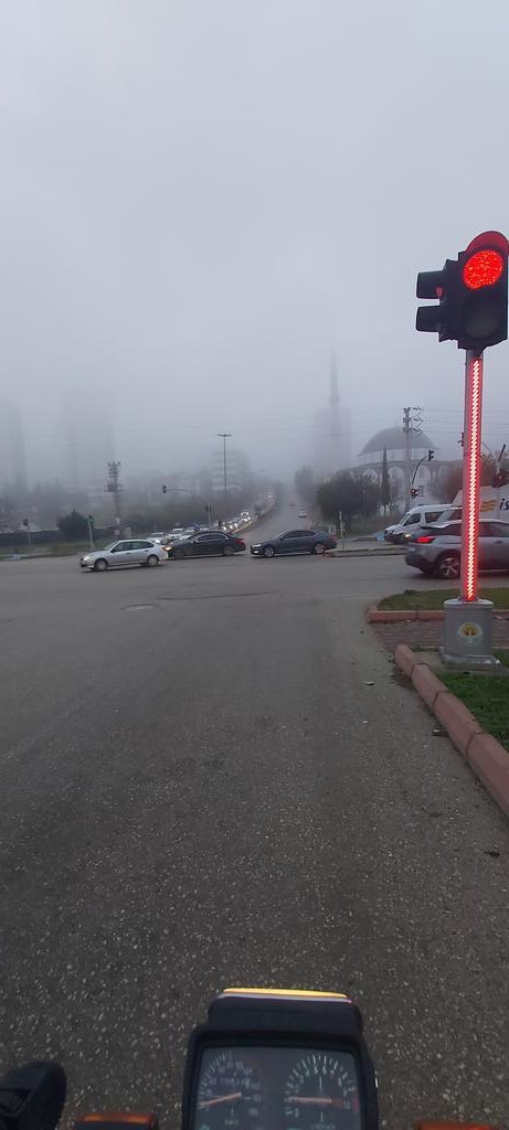 YOK ADANA BU ŞEHIRDE DUL BAYAN