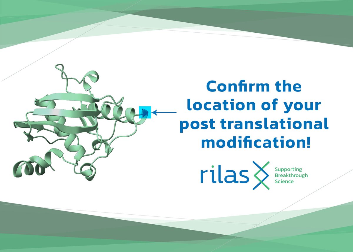 rilastech's tweet photo. With our enzymatic digest protein workflow, we can confirm the location of your post translational modifications for antibodies, proteins and oligos.

Reach out to us at info@rilastech.com.

More about Rilas: https://t.co/a8kWAdo8D8

#ptm #proteins #glycans #antibodies #biotech https://t.co/LQfc42t3bs