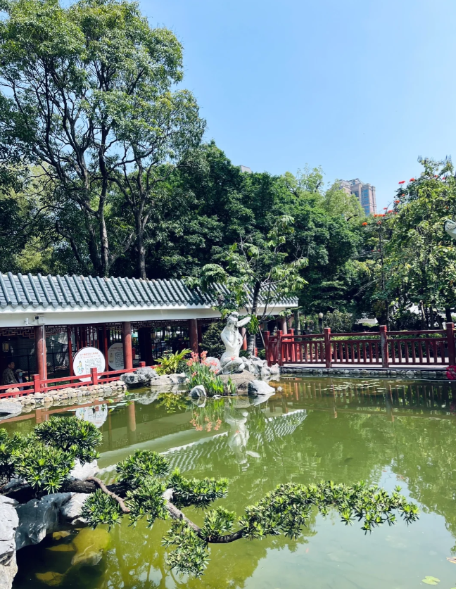 wady3321's tweet photo. In the park in the morning, people flew kites by the lake and watched them fly freely in the blue sky. https://t.co/9cAr0A4Scd
