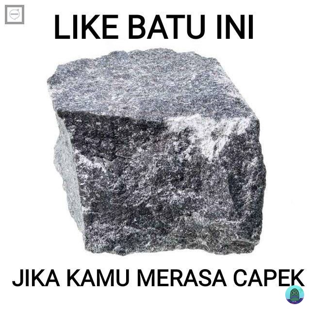 Tanyarl 💚 tweet media