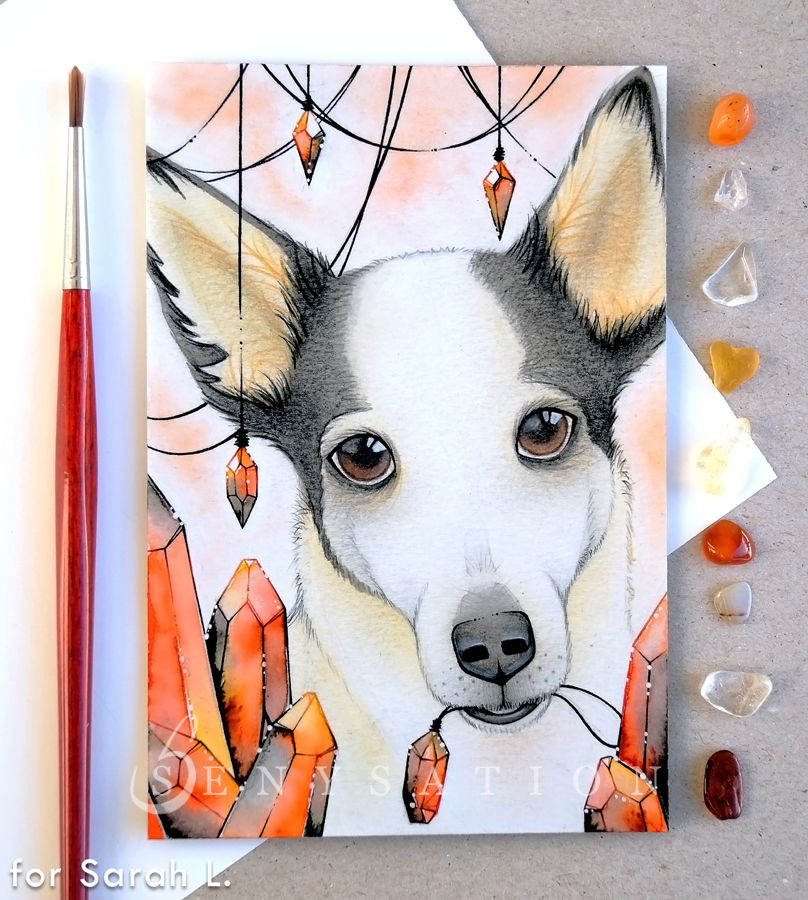 senysation's tweet photo. Pet Portrait Commissions which I have recently finished which nobody will care about because they're not Genshin Impact or any other fanart ✨

(please excuse my sassiness, but it helps me to cope with my terrible reach 😂) https://t.co/g80Y5XgWzZ