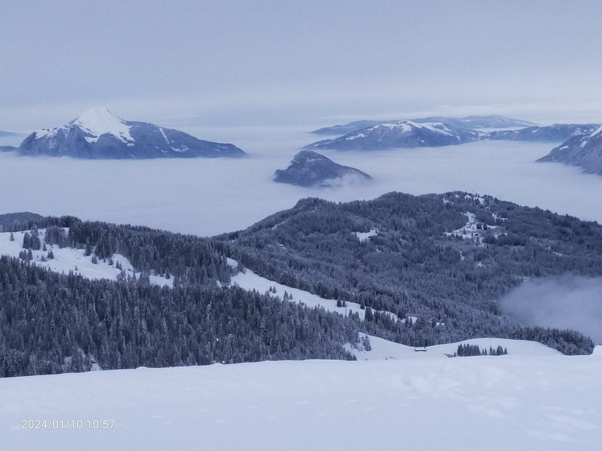 ucanski's tweet photo. Skiing the four villages of the #grandmassif yesterday and today. Snow is fantastic down to 1200m with a top up snowfall last night. No queues and empty slopes makes for perfection. https://t.co/Ui8LCTOpDi