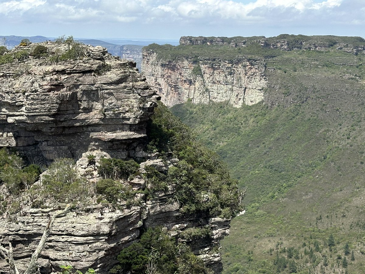 Fabricio Machado tweet media