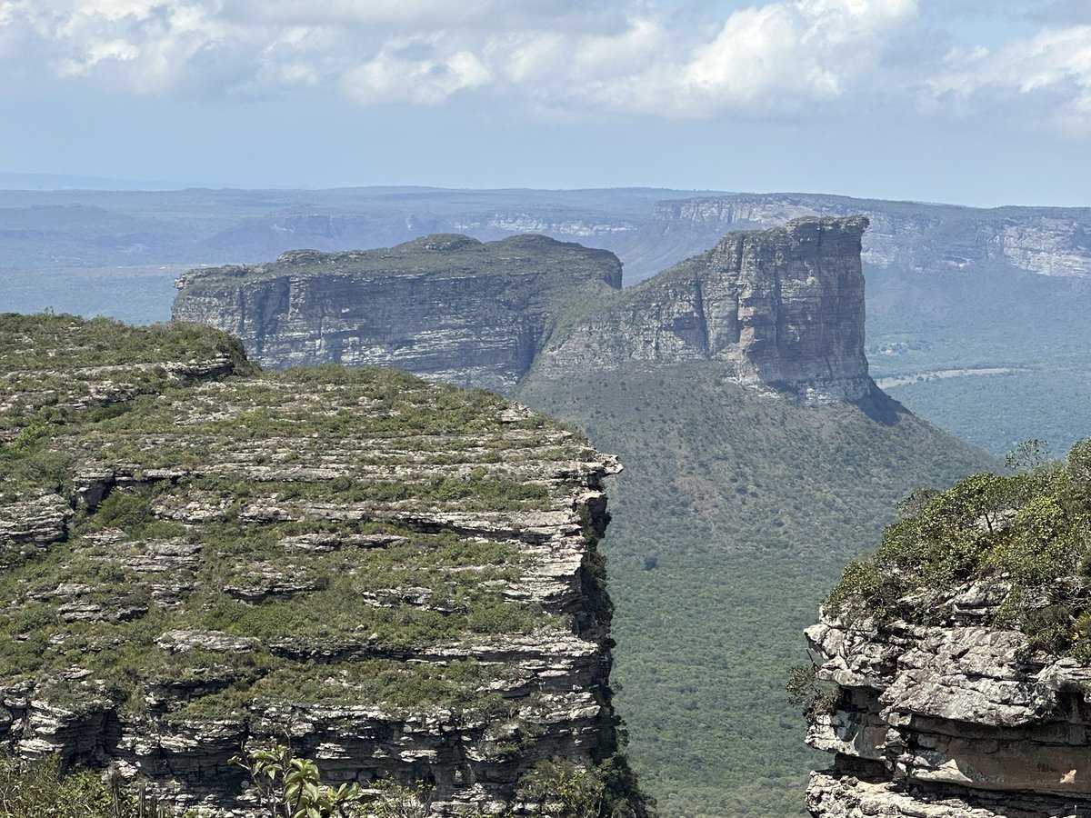 Fabricio Machado tweet media