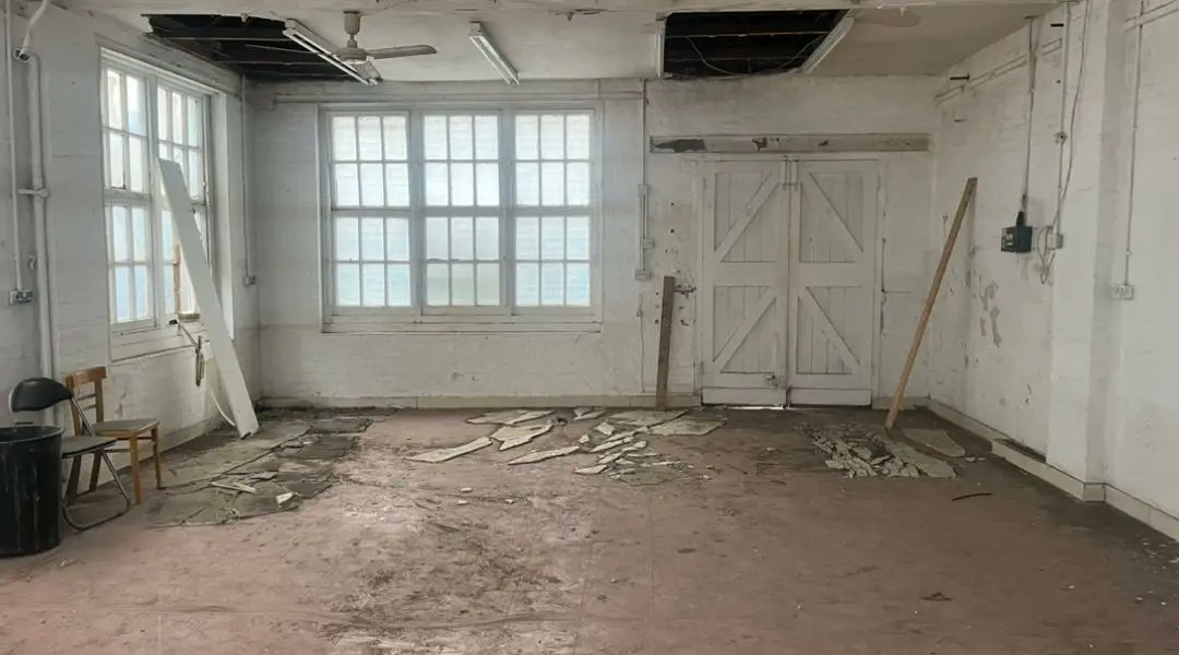 Will Dennies tweet media