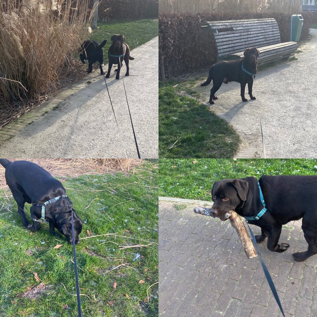 Even kopje leegmaken met mijn mannen , koud maar ook heerlijk