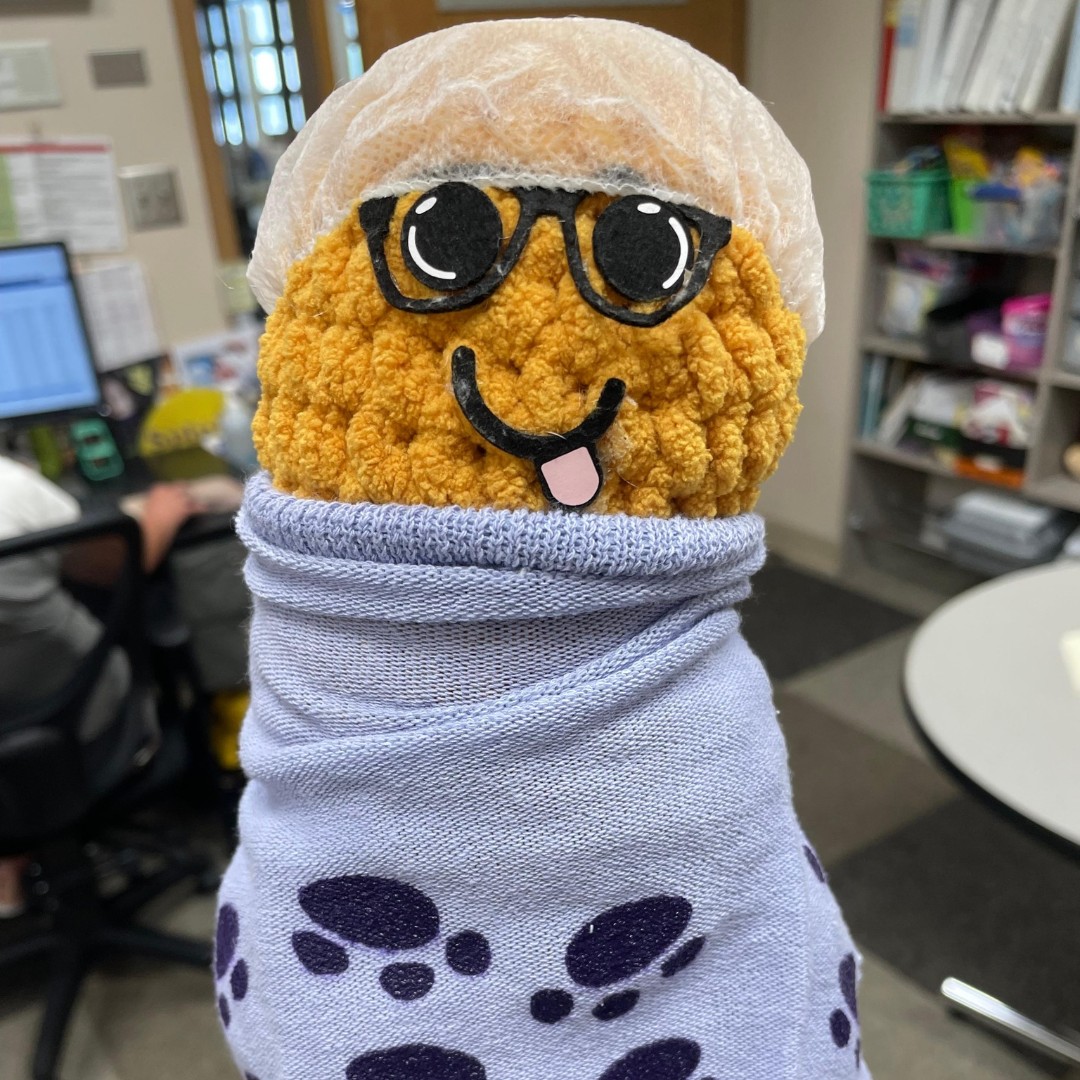 Did you know our staff goes the extra mile to create special garments or casts for stuffed animals that match what our patients are wearing? 🤗 Our team understands the importance of caring for the whole well-being of our patients. #TheMostAmazingCareAnywhere #ShrinersChildrens