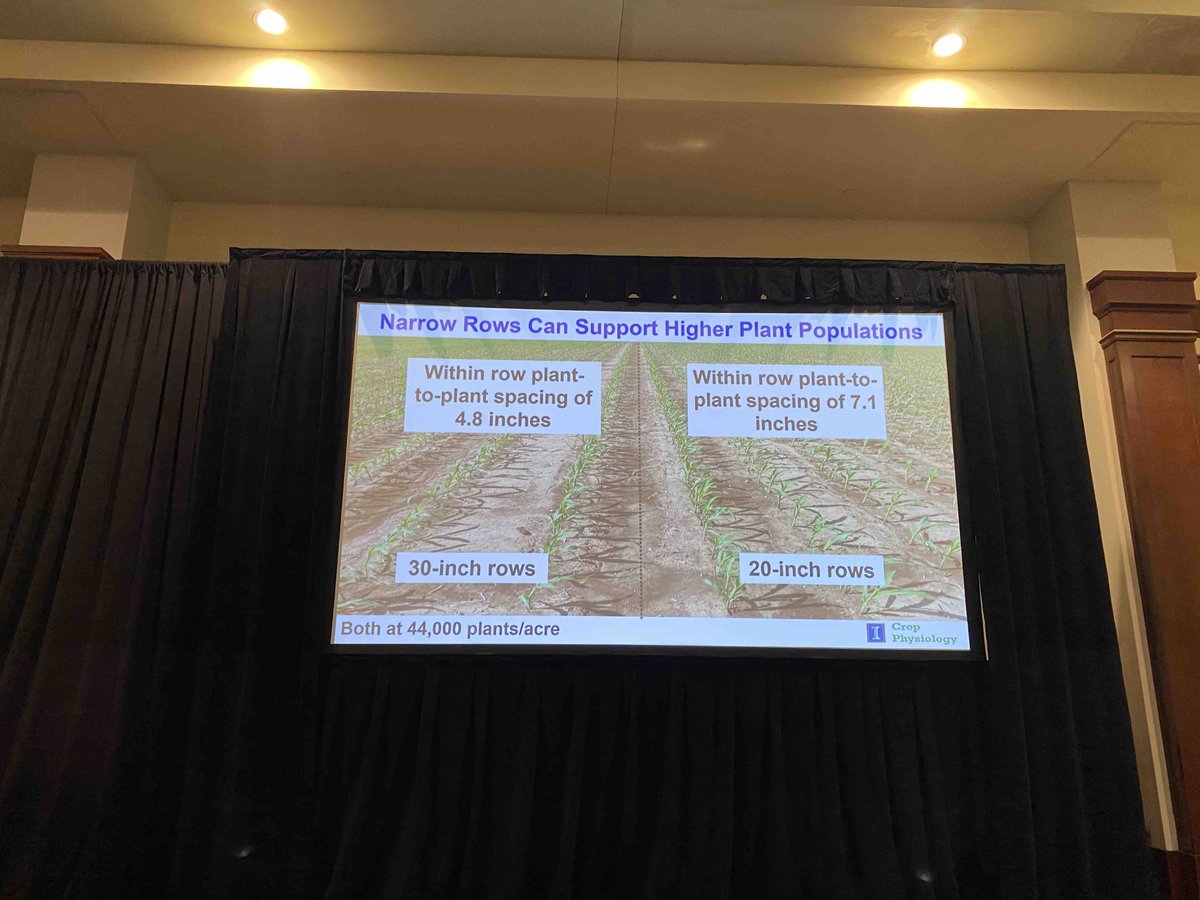 NoTillFarmr's tweet photo. NNTC: Is the future of corn higher populations in narrow rows? #NoTillConference #NoTill #FredBelow https://t.co/FG70esH7G8