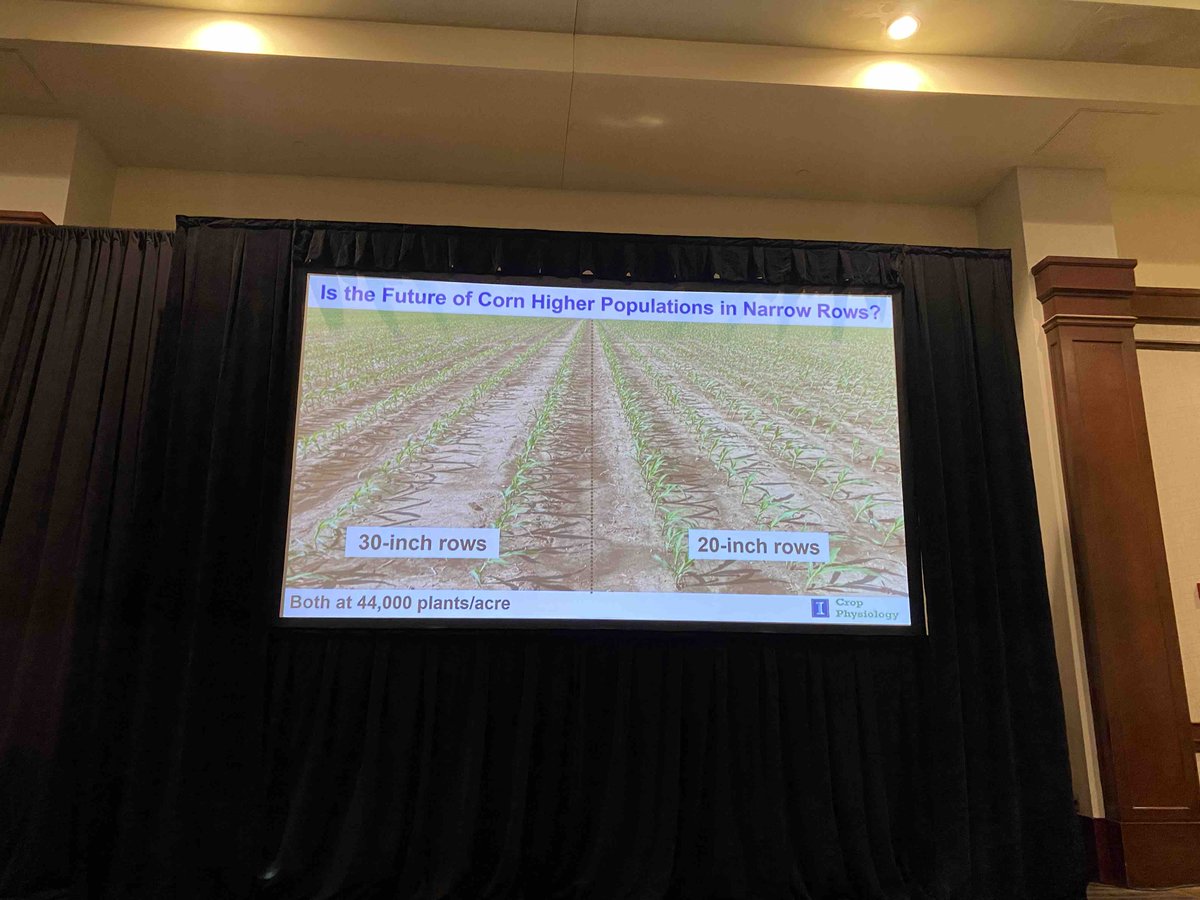 NoTillFarmr's tweet photo. NNTC: Is the future of corn higher populations in narrow rows? #NoTillConference #NoTill #FredBelow https://t.co/FG70esH7G8