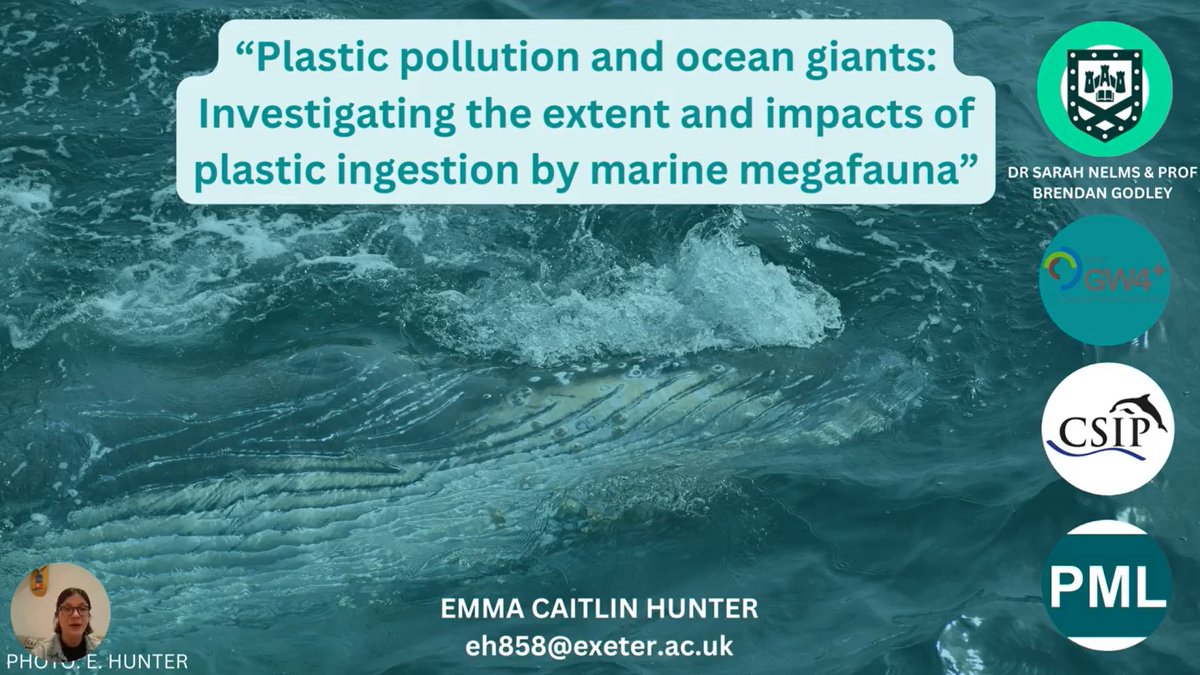 UKIRSC_SMM's tweet photo. @emmainthewild, is a first year PhD student @UniofExeter researching the extent and impacts of plastic ingestion by marine megafauna. Wildlife is ingesting plastic but what are the health implications for large ocean creatures, particularly regarding micro- &amp; nanoplastics? https://t.co/D9ERROySDt
