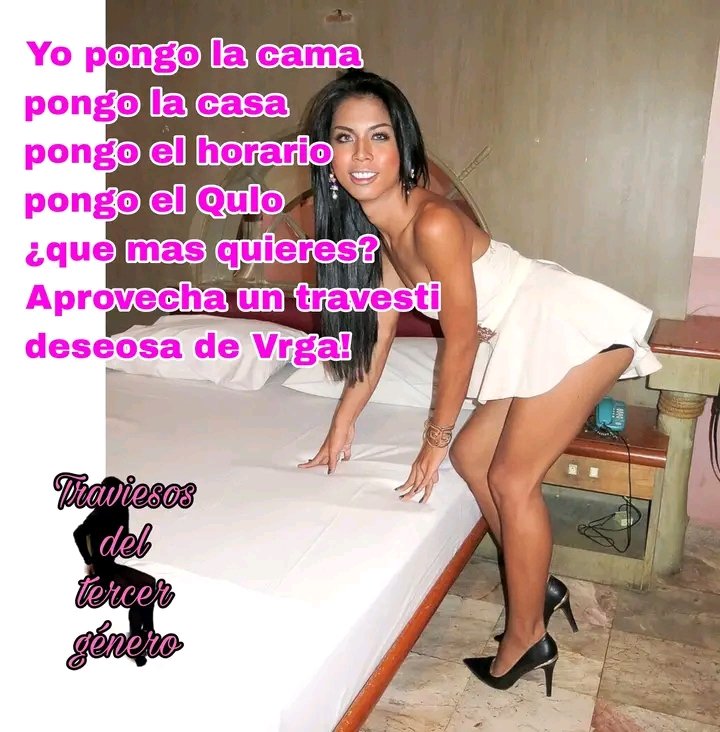 LeninCa14633470's tweet photo. solo vendrá a disfrutar https://t.co/ff1WZsUUxC