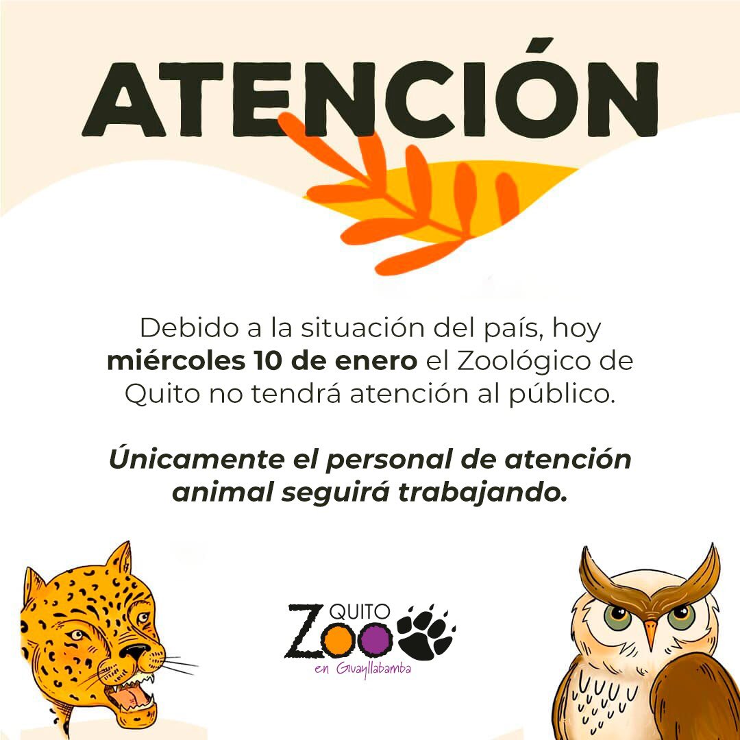 Zoo_Quito's tweet photo. 📌A la comunidad: 👇🏼 https://t.co/yQma9PKev5