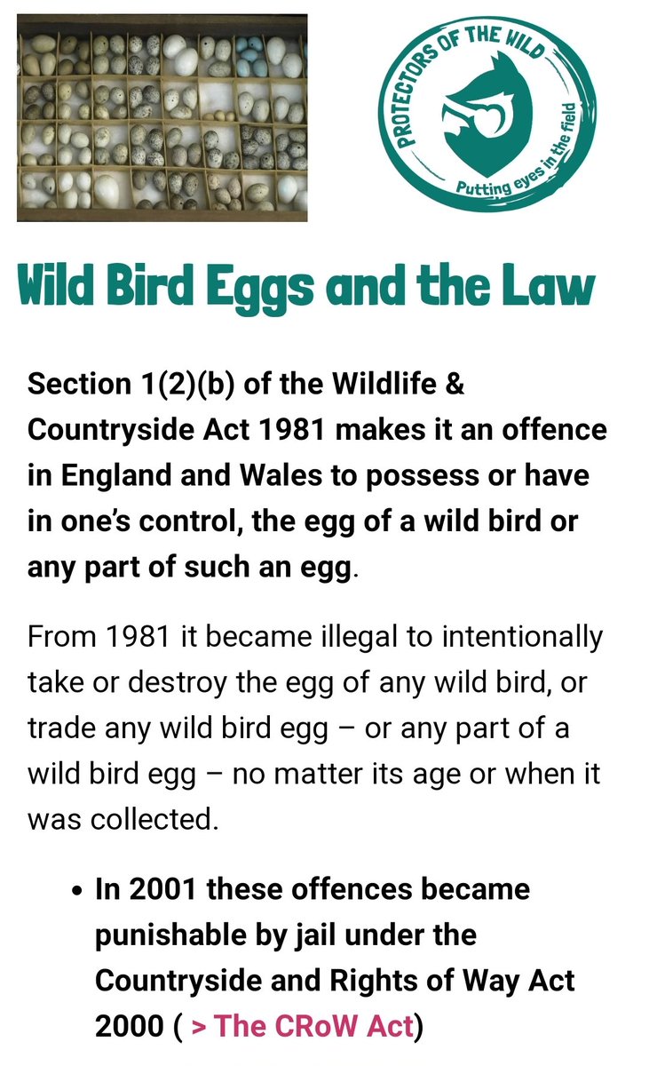 And yet it's absolutely fine to abort a human 🤷