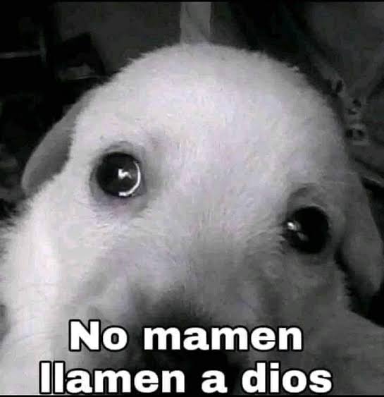 HctrZng's tweet photo. En todo el año pasado no me enfermé ni una sola vez, para sorpresa mía este año Diosito me eligió como su mejor guerrero y me a dejado con náuseas, dolor de estómago y vómito.
Quiero ponerme en posición fetal y proceder a llorar mientras le digo al mundo que hasta aquí llegué yo. https://t.co/5P1ndJZjXy