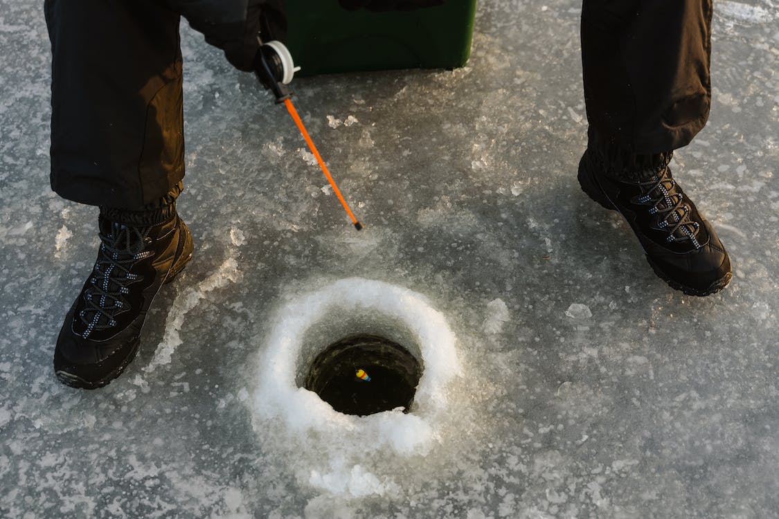 Are you up to date on the permitted baitfish species list?

Be sure to check the new list, as 15 species have recently been removed.

Learn more at ontario.ca/FishingUpdates