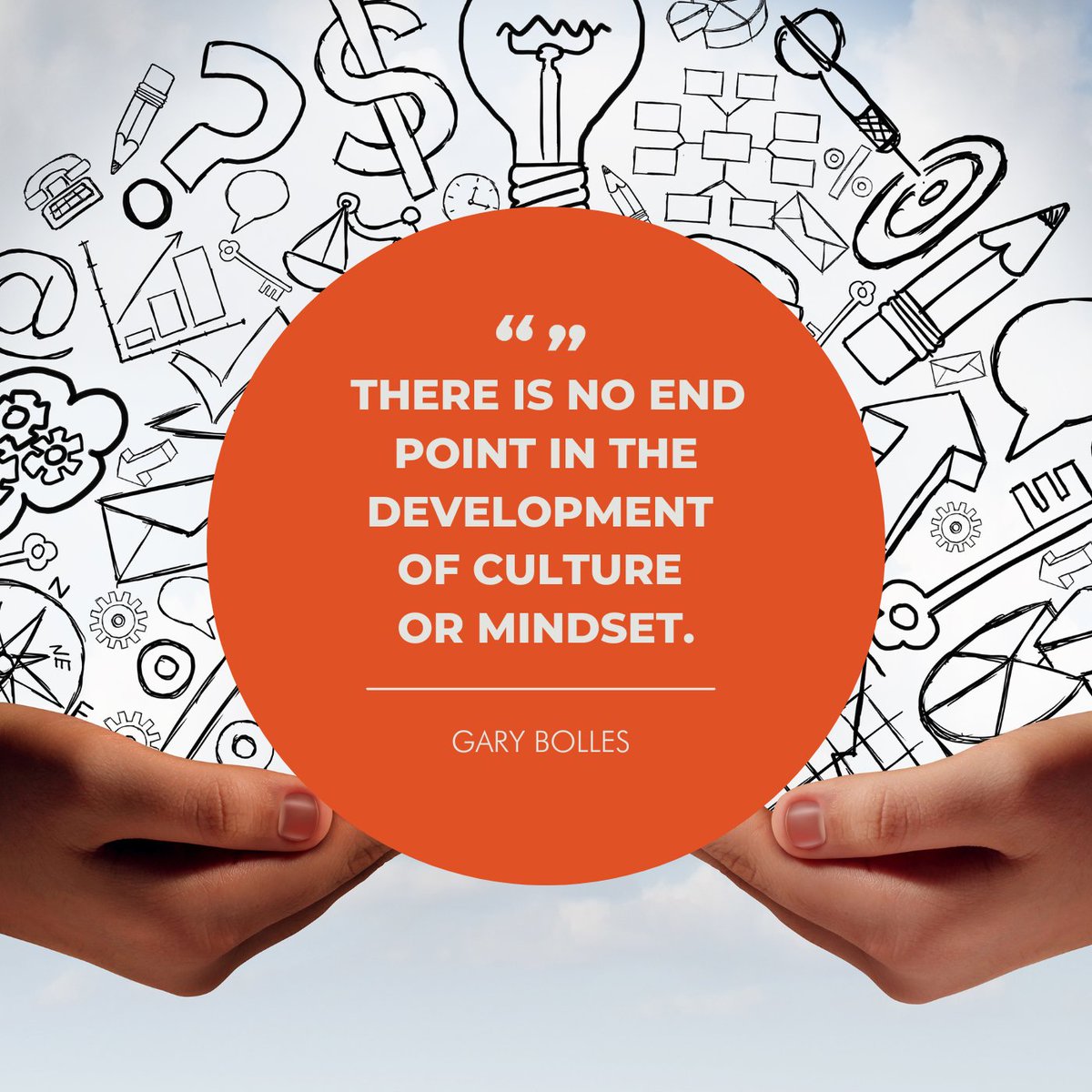 Connie Steele tweet media