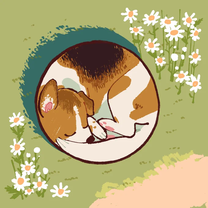 まるいっぬたち 