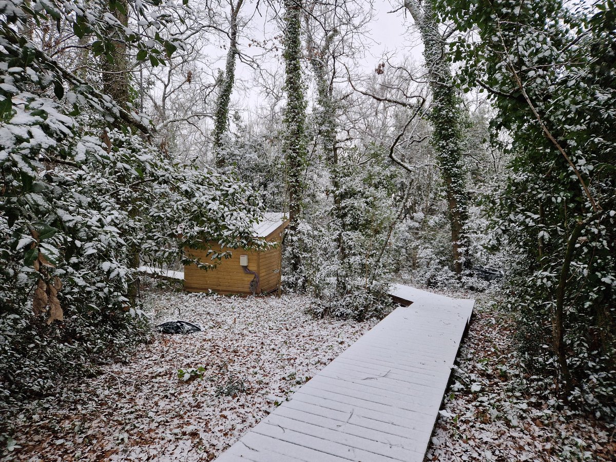Forêt expérimentale de l'Université de Bordeaux tweet media