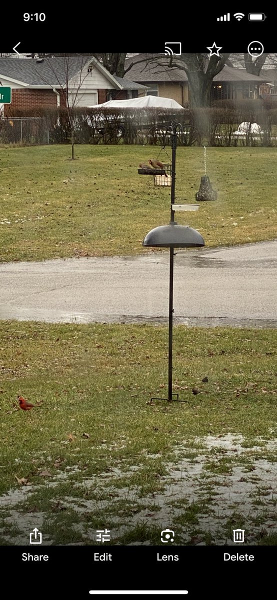 barbijp's tweet photo. So neat seeing the Cardinals https://t.co/yVmiQp8Jv9
