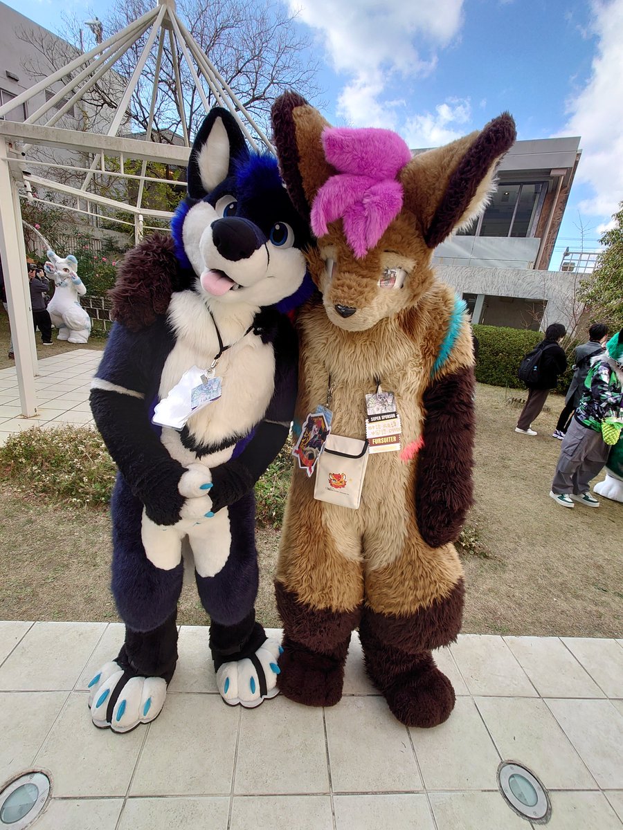 <a href="/LukaTheFox/">Luka</a>
<a href="/Shio9lava/">Shio</a> 
#JMoF2024
二匹の可愛い海外のオオカミたち♪