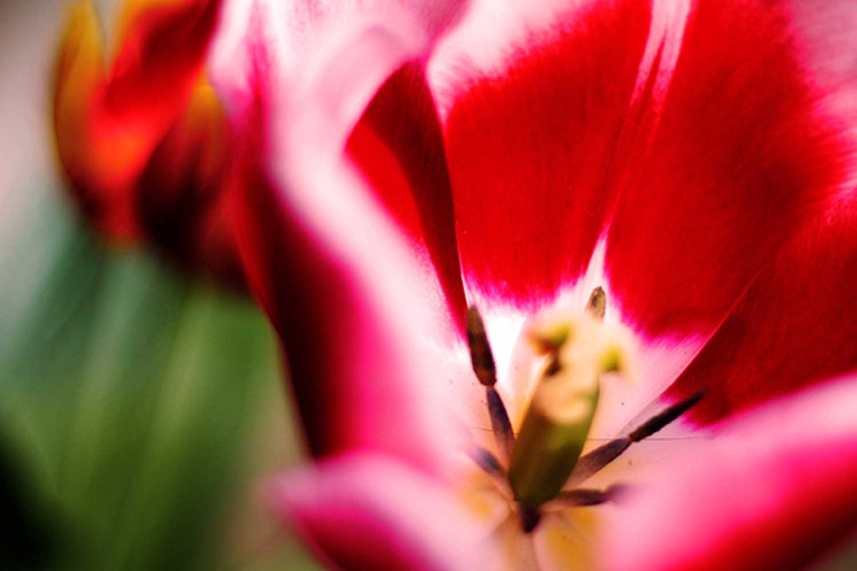 People Powered Press tweet media