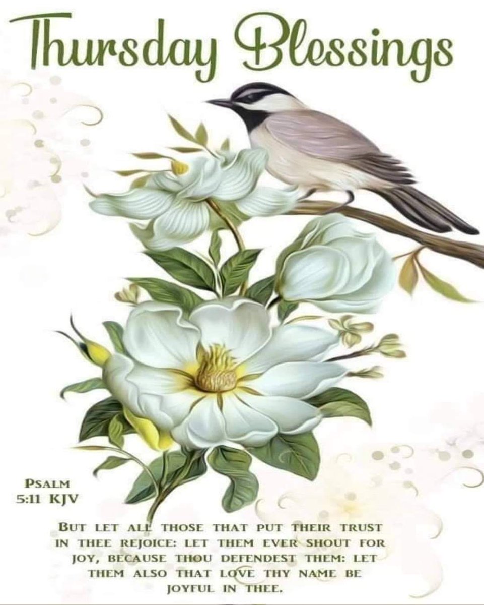 HealthcareDenta's tweet photo. GOOD MORNING 
THURSDAY BLESSINGS https://t.co/6k9RCxavZ9