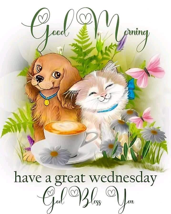 HealthcareDenta's tweet photo. GOOD MORNING 
WEDNESDAY BLESSINGS https://t.co/YWdsI94GmU