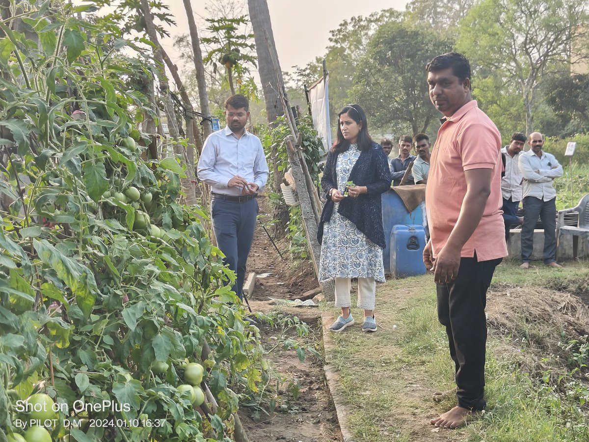 આજ રોજ છોટાઉદેપુર તાલુકાના દુમાલી ગામે પ્રાકૃતિક ખેતી કરતા શ્રી રાઠવા સંજયભાઈ રમેશભાઇના ખેતરની ફિલ્ડ વિઝિટ કરી તેમજ બીજા ખેડૂતો ને પણ પ્રાકૃતિક ખેતી તરફ વળવા માર્ગદર્શન આપ્યું.<a href="/PMOIndia/">PMO India</a> <a href="/ADevvrat/">Acharya Devvrat</a> <a href="/CMOGuj/">CMO Gujarat</a> <a href="/ManojKu22693143/">Manoj Kumar Das</a>