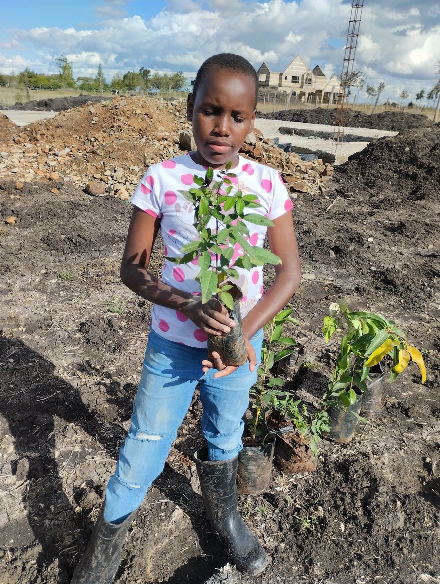 ICCBinternational tweet media