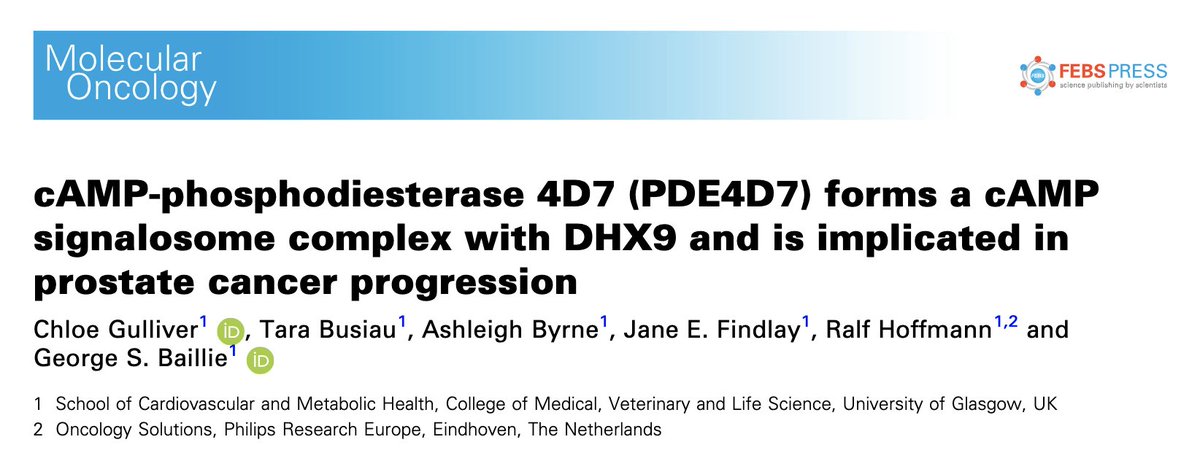 Chloé Gulliver (@chloegulliver) on Twitter photo Happy to share our latest publication in <a href="/MolOncology/">Molecular Oncology</a>
in which we identify the interaction between PDE4D7 and DHX9 and its implications in prostate cancer!
Thanks to all involved 🙌 <a href="/gbma25/">George Baillie</a>
lnkd.in/eGmftsmn Happy to share our latest publication in <a href="/MolOncology/">Molecular Oncology</a>
in which we identify the interaction between PDE4D7 and DHX9 and its implications in prostate cancer!
Thanks to all involved 🙌 <a href="/gbma25/">George Baillie</a>
lnkd.in/eGmftsmn